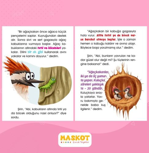 Maskot 2. Sınıf Kalbiselim Hikaye Seti 10 Kitap